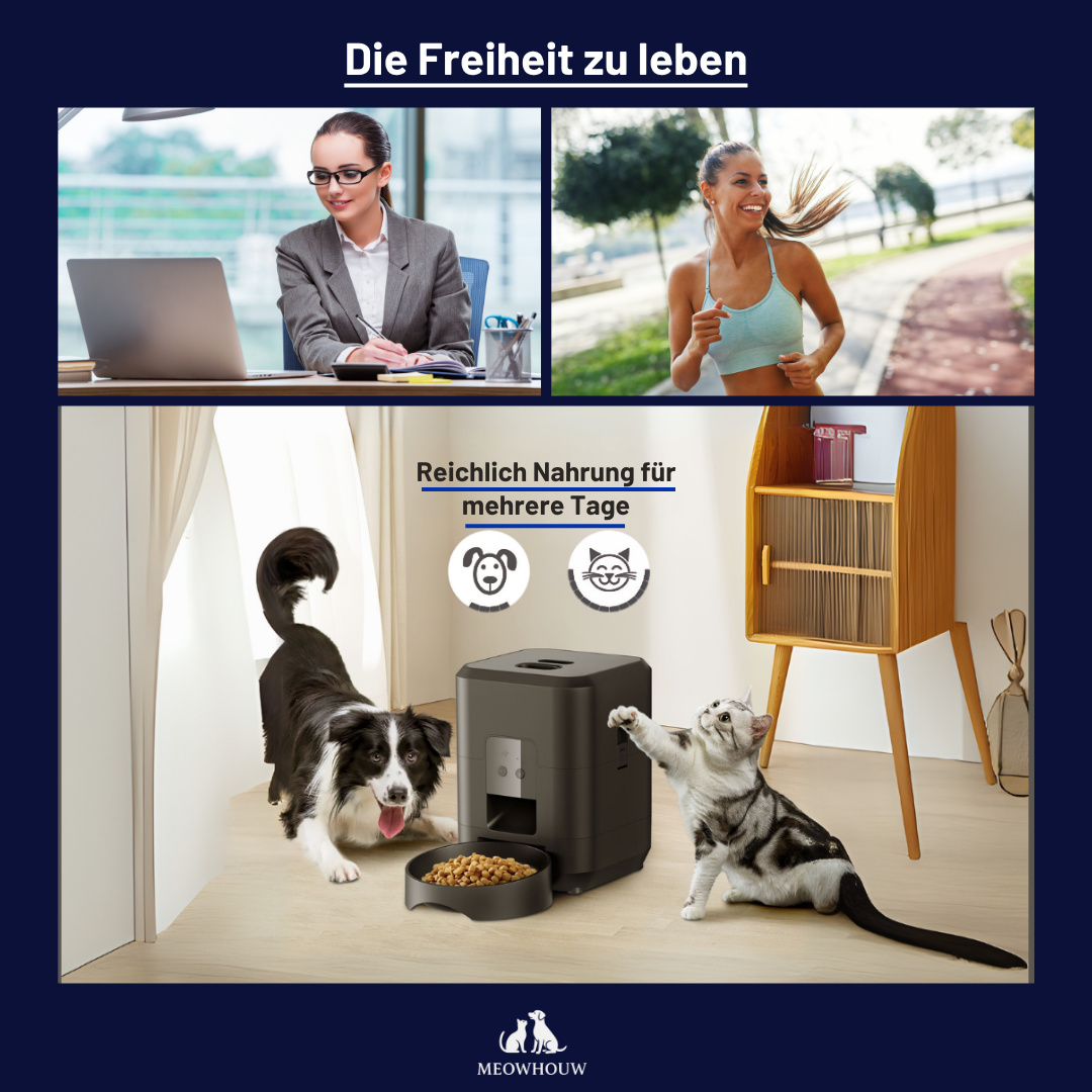 Smart Pet Feeder Automatic