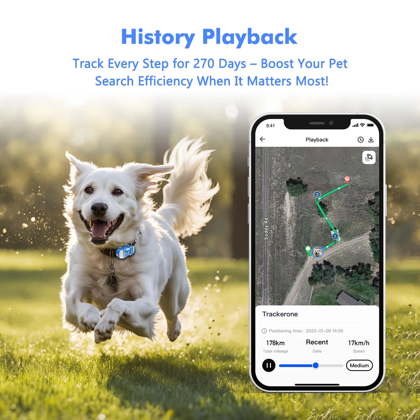 Truck Pup + Free Ebook