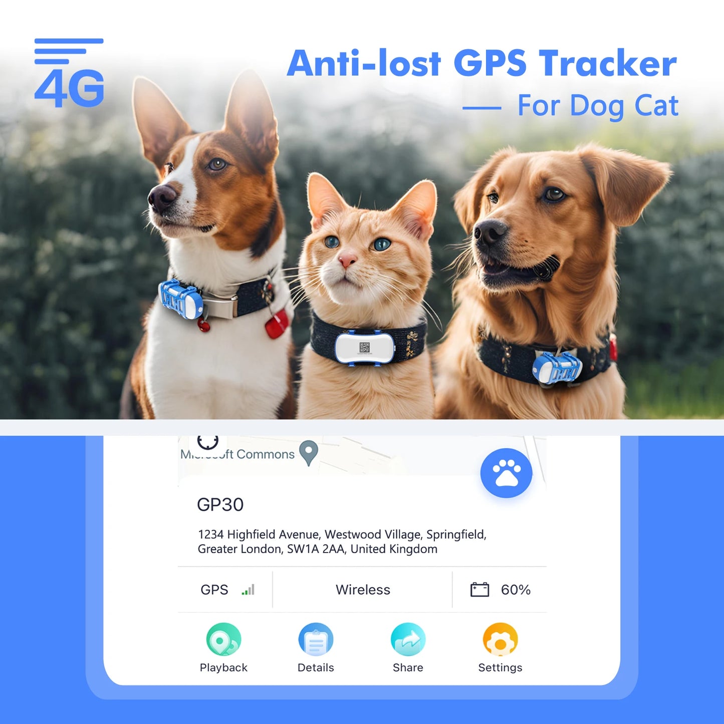 Truck Pup + Free Ebook
