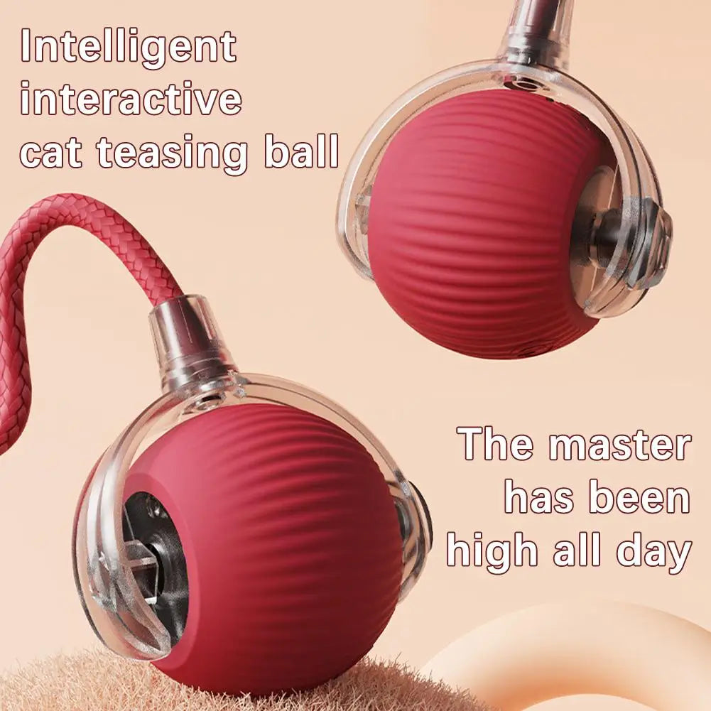 JagdBall™ – Interaktives Katzenspielzeug mit Schwanz & Sound