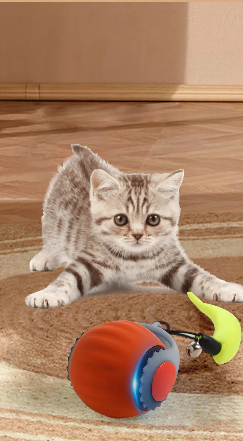 JagdBall™ – Interaktives Katzenspielzeug mit Schwanz & Sound