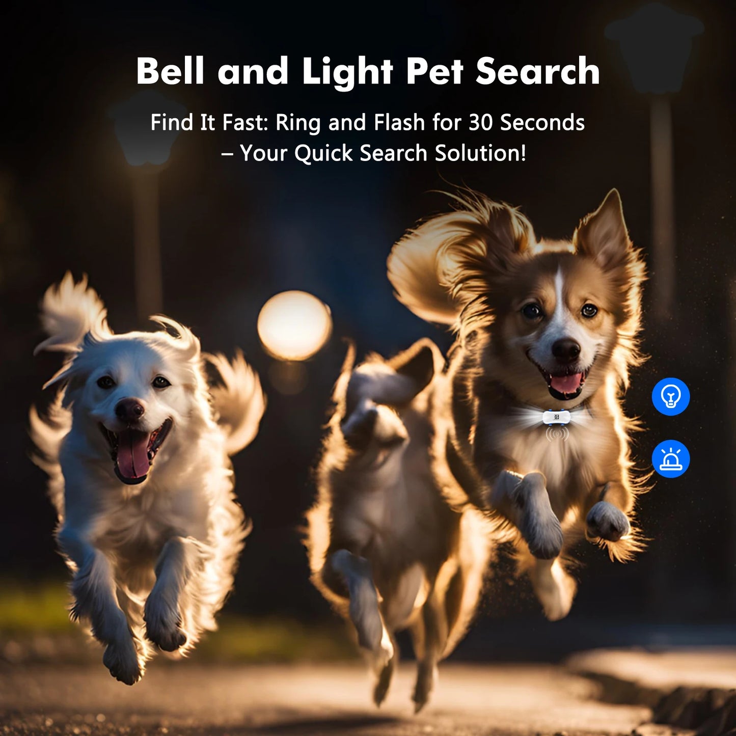 Truck Pup + Free Ebook