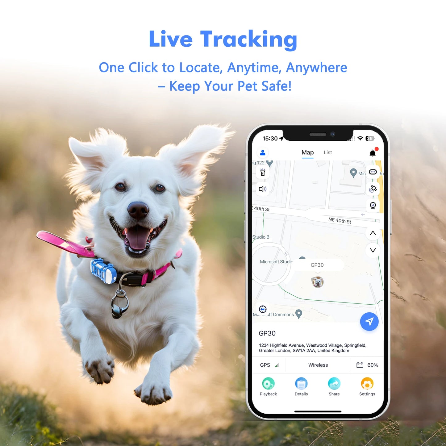 Truck Pup + Free Ebook