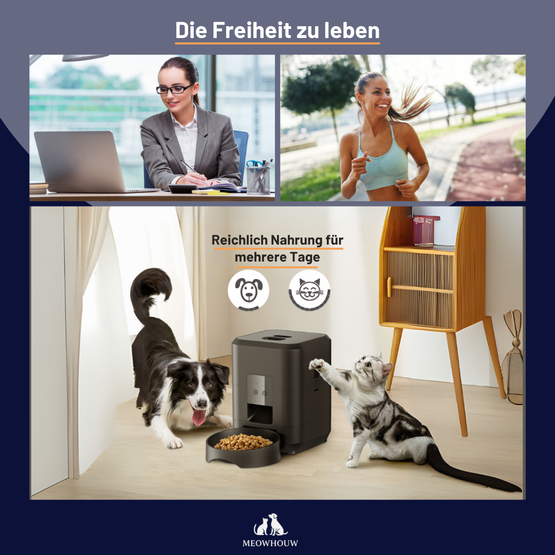 Smart Pet Feeder Automatic