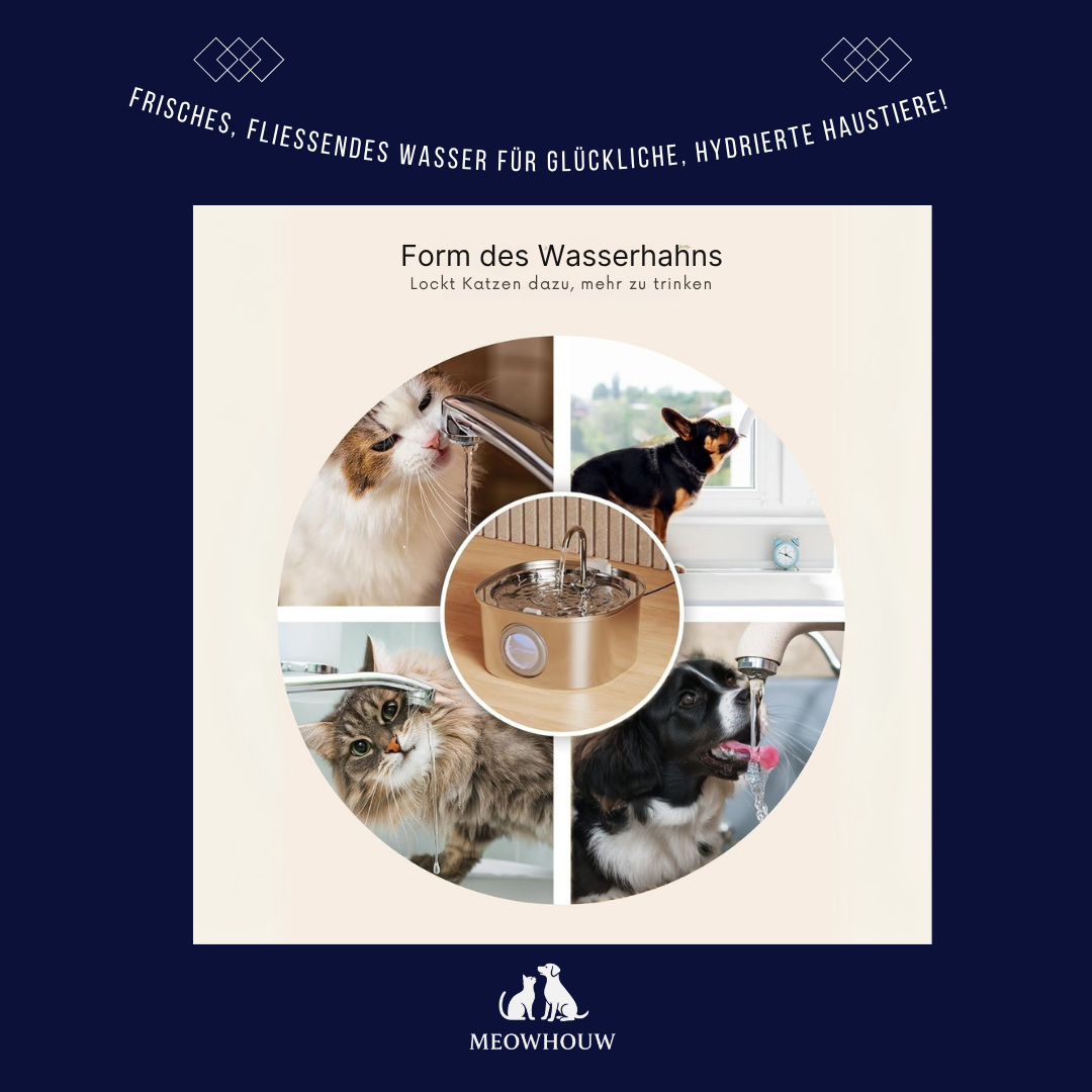 Cat Fountain Stainless Steel Pet Water Feeder 4L
