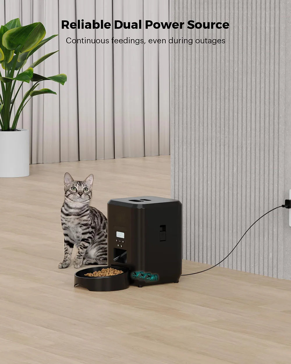 Smart Pet Feeder Automatic
