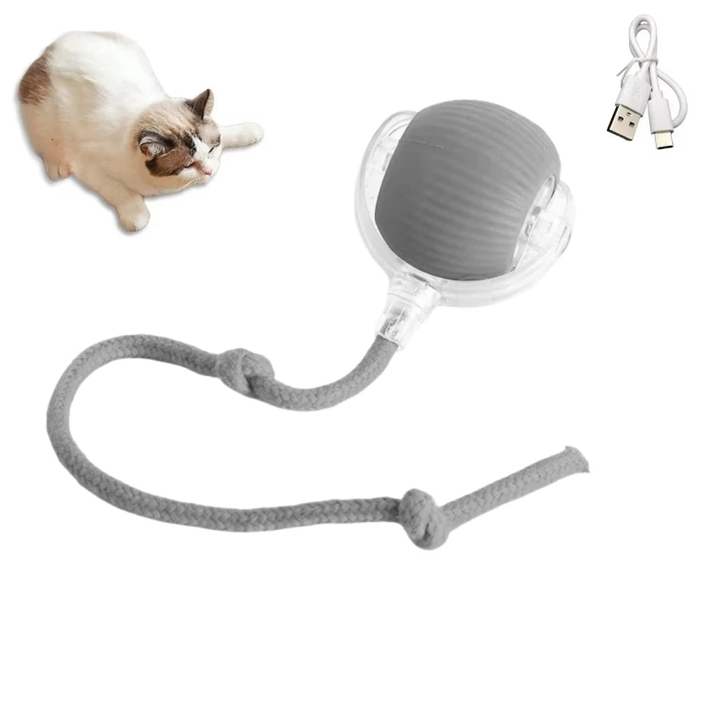 JagdBall™ – Interaktives Katzenspielzeug mit Schwanz & Sound