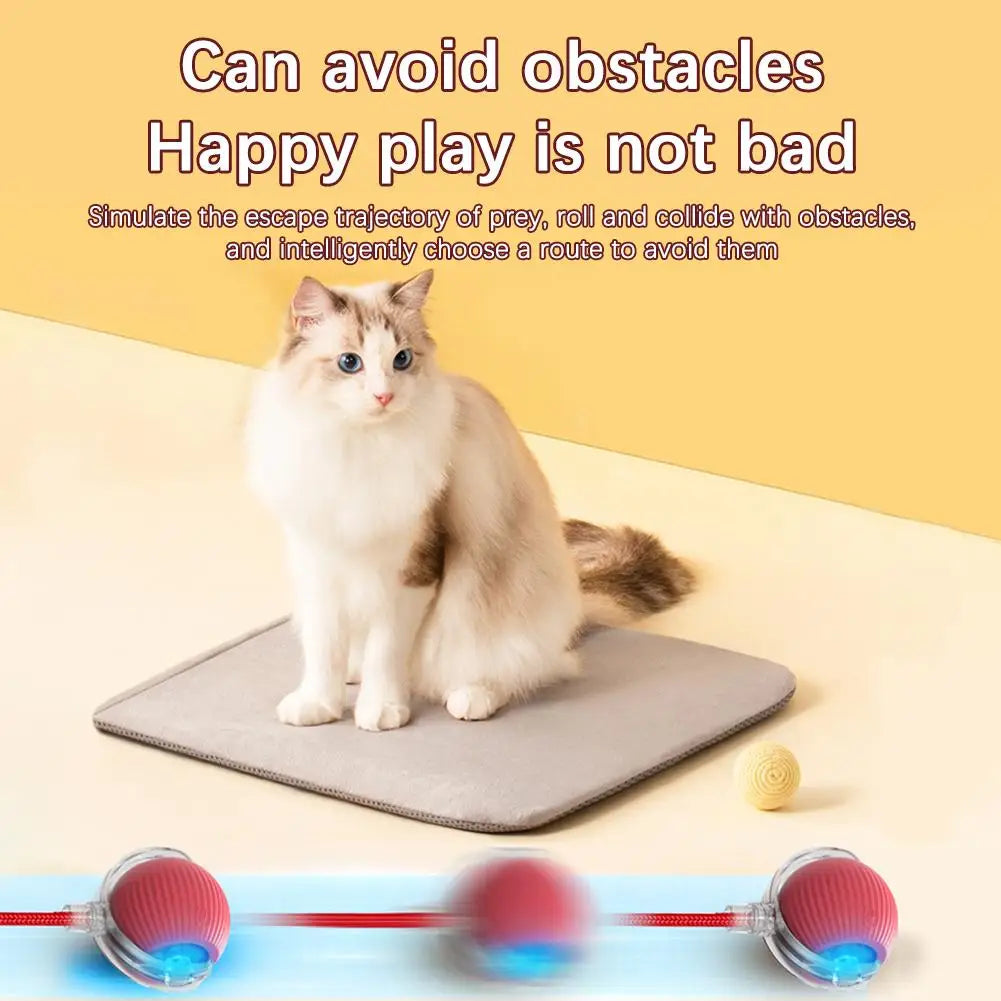 JagdBall™ – Interaktives Katzenspielzeug mit Schwanz & Sound
