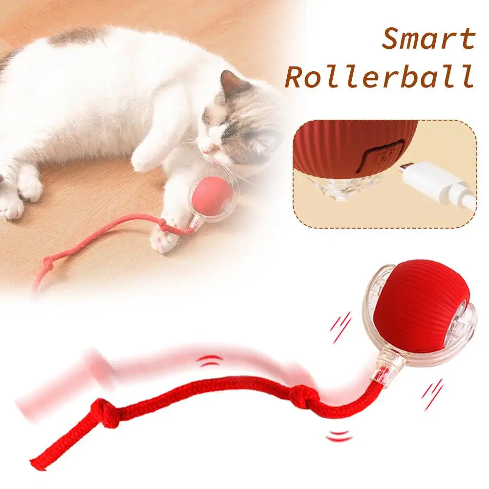 JagdBall™ – Interaktives Katzenspielzeug mit Schwanz & Sound