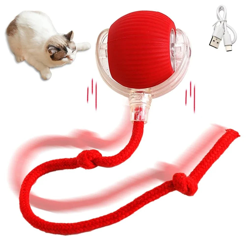 JagdBall™ – Interaktives Katzenspielzeug mit Schwanz & Sound