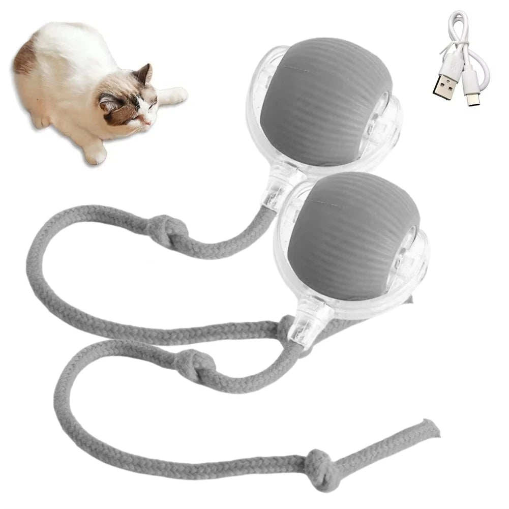 JagdBall™ – Interaktives Katzenspielzeug mit Schwanz & Sound