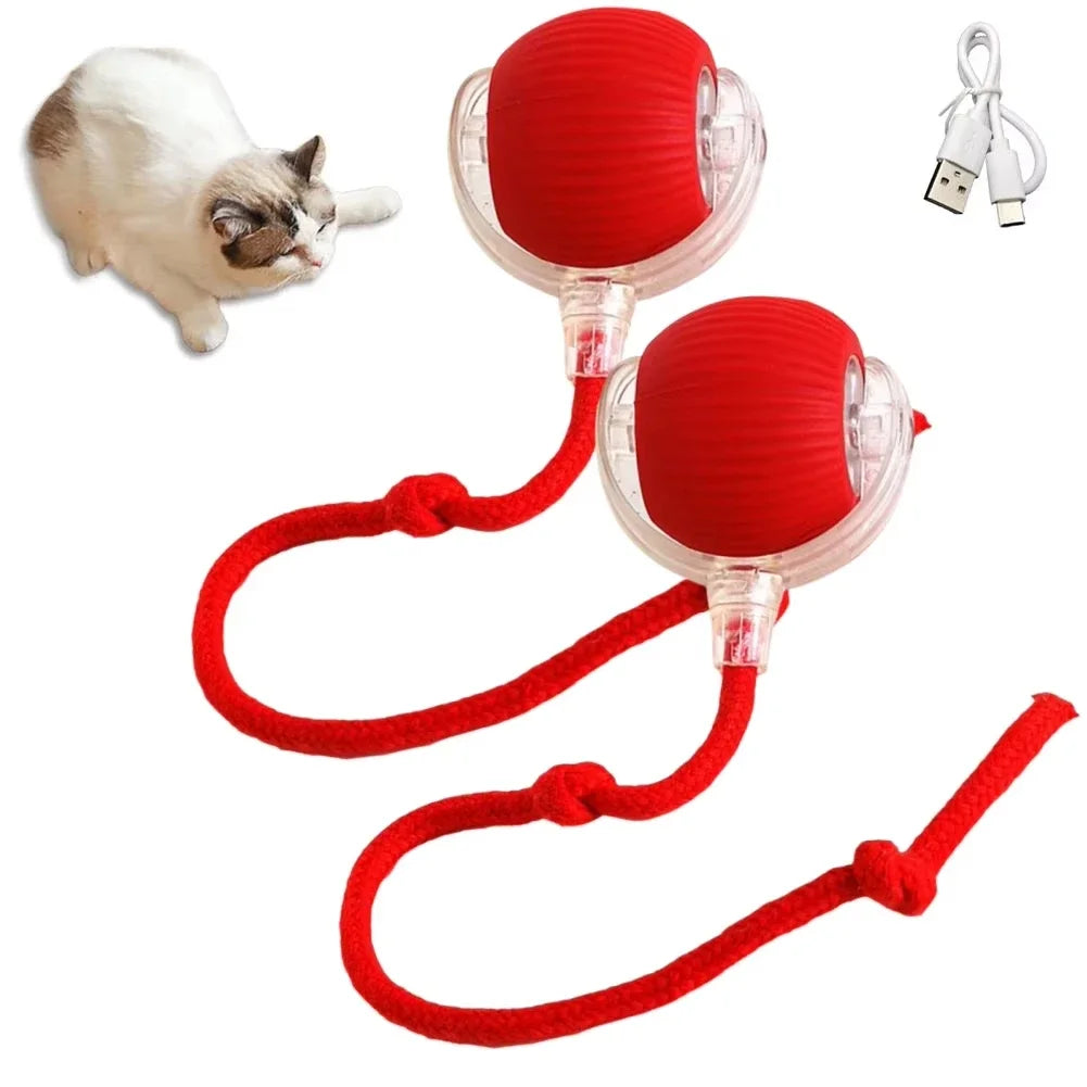 JagdBall™ – Interaktives Katzenspielzeug mit Schwanz & Sound