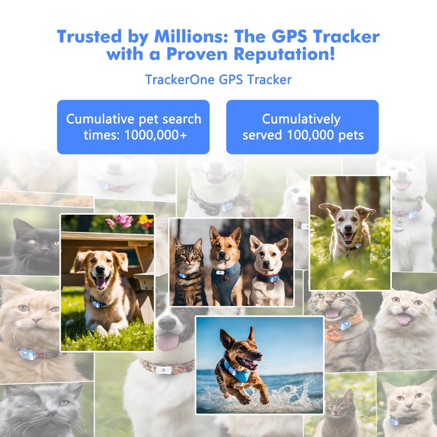Truck Pup + Free Ebook